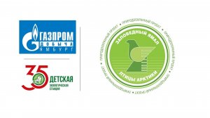 ПРОЕКТ "ПТИЦЫ АРКТИКИ"