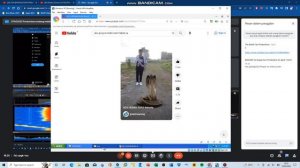 Windows XP BSOD Compilation #1 2023