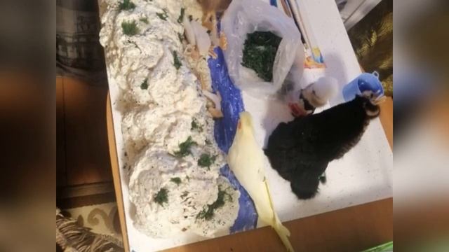 РК глазами детей 2022 Фомичев Павел смотреть онлайн