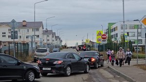 обзор куюки