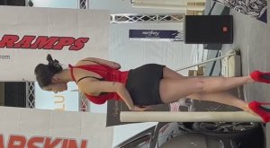 Корейская модель BW.