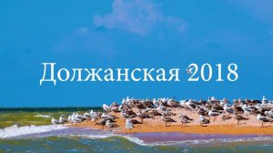 Должанская 2018. Съемка квадрокоптером на косе Долгая
Есть вопросы к местным жителям...