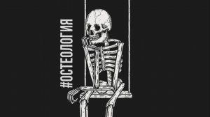 Остеология: Кости осевого скелета