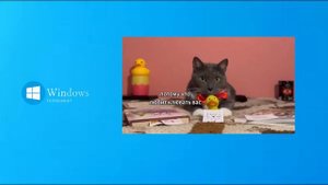 заставка рекламы канала Windows котинет