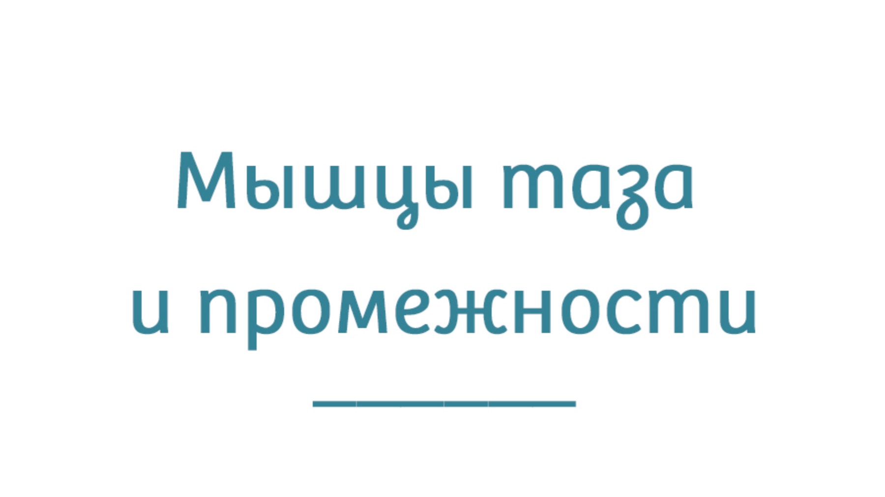 Мышцы таза и промежности