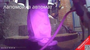 лапомойка