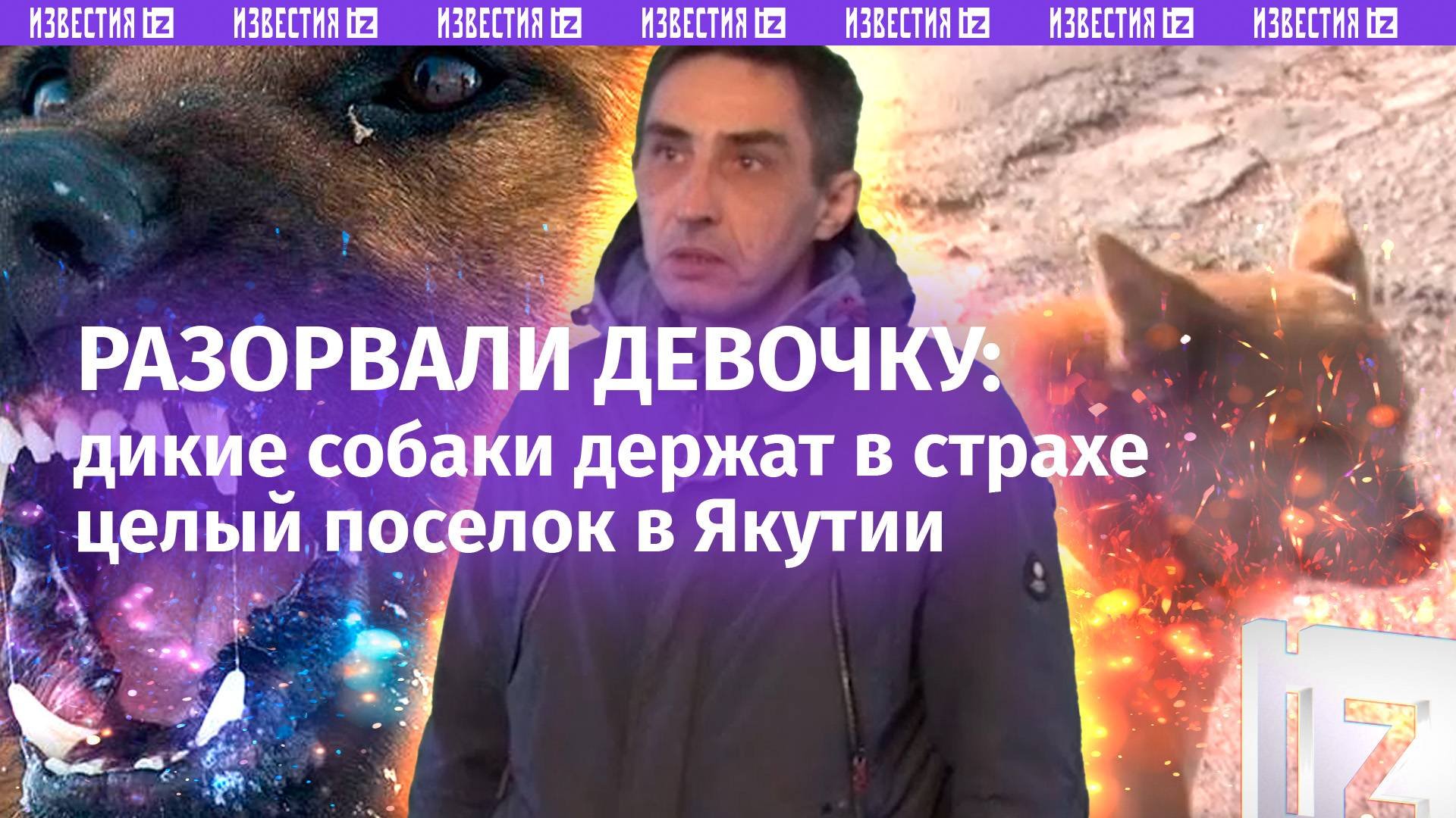 Умерла девочка, которую покусали дикие собаки в Якутии. «Побывал в аду»: страшное откровение отца