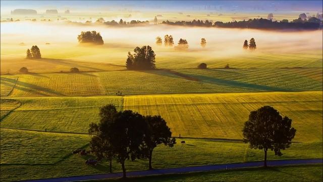 Beethoven: Piano Concerto No. 3 in C Minor, Op. 37 смотреть онлайн
