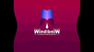 Windows XP R2 Professional Startup Sound Effects (SBP1982E) in I Wind Of X Is Opposite