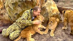 Львята Симба и Асада САМИ поднялись на гору славы к Олегу Зубкову и ШерХану!