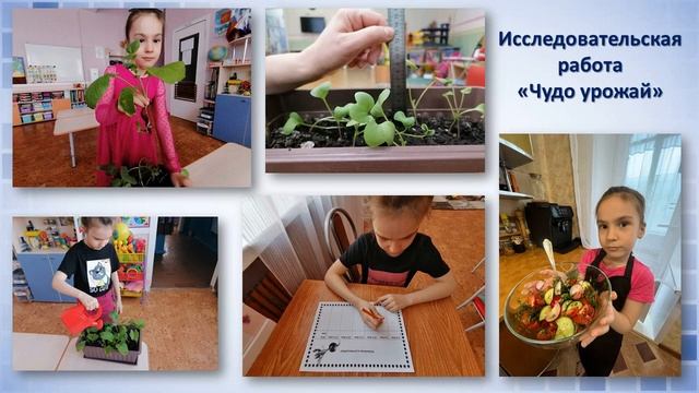 Вишнивецкая Н В Презентация пед находки смотреть онлайн