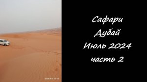 Сафари. Дубай. Июль 2024