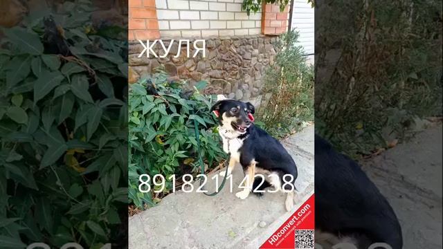 ждем мампап