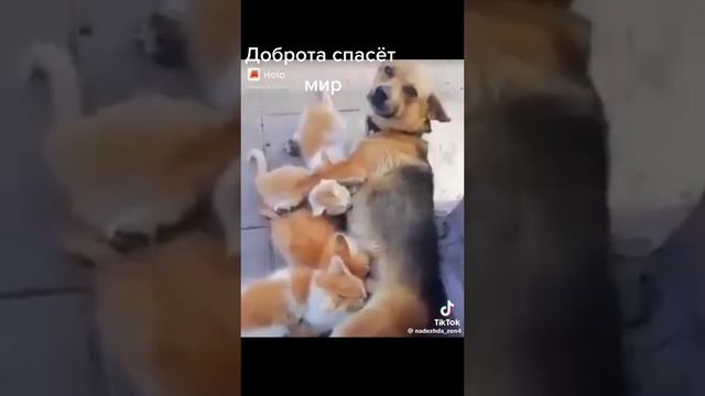 09-10-2024 смотреть онлайн