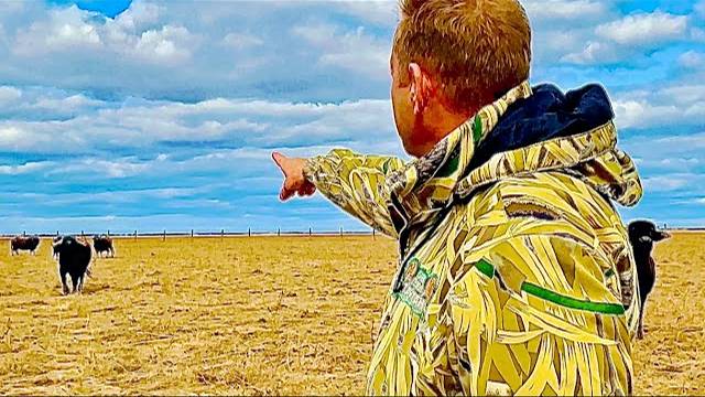 Олег Зубков в Аскания-Нова узнает о судьбе БРОШЕННОГО УНИКАЛЬНОГО ЗАПОВЕДНИКА!