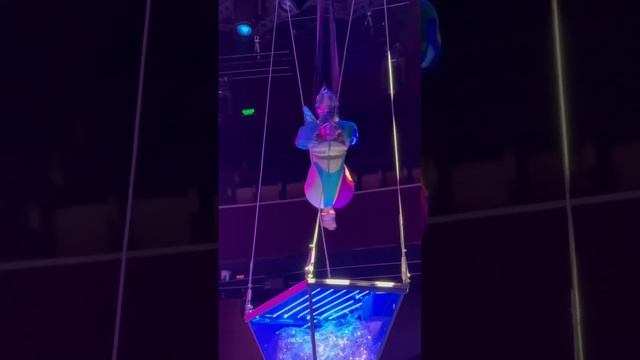 На премьере мюзикла Мечтатели