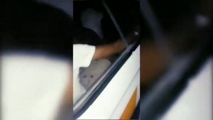 Самарканда Мелиса Ходими запалга тушди Am Patrul Iskandar makedonsky