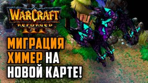 МИГРАЦИЯ ХИМЕР НА НОВОЙ КАРТЕ: TGW (Ne) vs Starbuck (Orc) Warcraft 3 Reforged