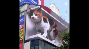 Гигантская кошка поселилась на фасаде здания в Токио