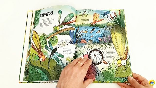 ЭНЦИКЛОПЕДИЯ В КАРТИНКАХ. НЕОБЫЧНЫЙ МИР НАСЕКОМЫХ
