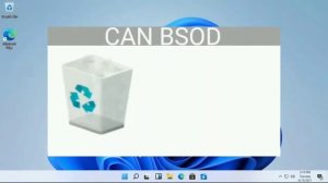 Windows 11 Crazy error