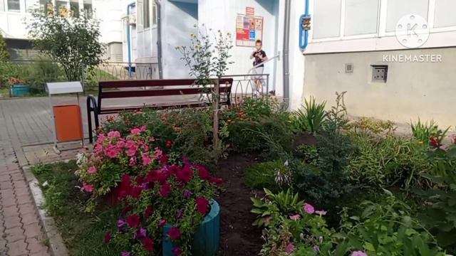 ⏩Архив 2024➡️Воскресный влог 08.09.24 Белгород Готовлю фаршированные 🫑🌶️ тефтели