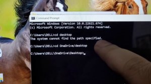 The system cannot find the path specified