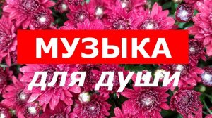 МУЗЫКА ДЛЯ ДУШИ