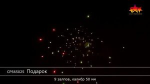 СР565025 Подарок 4 1