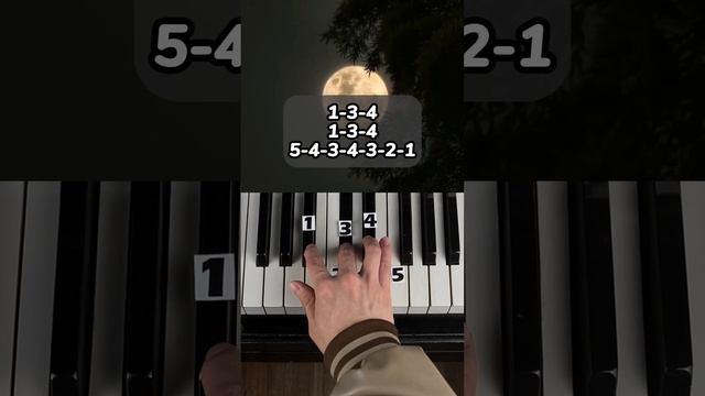 CARDIGAN - TAYLOR SWIFT (PART 1)  | PIANO TUTORIAL
