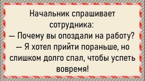 Анекдоты: Как зять с женой тещу разбудили.

#Юмор
#Анекдоты