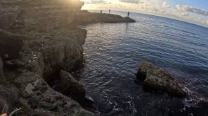 Сарган Черноморское Вечер 09.10.2024