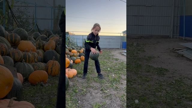 Дурацкая тыква!🎃