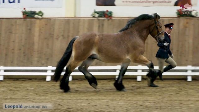 Leopold v. Liebling x Udo смотреть онлайн