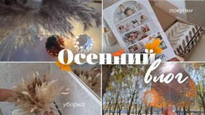 Уютная осень: покупки, декор, уборка, прогулки/ Осенние новинки Фикс прайс/ Покупки Wildberries