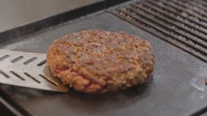 6555022-hd_1920_1080_24fps