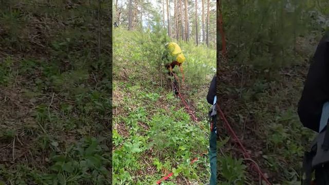 УрФО #школабезопасности #хочуврек  #спортивныйтуризм #безопасность #пср #рекомендации #shorts