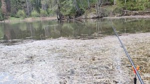 Залив реки Кутамыш