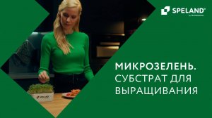 Субстраты SPELAND. Выращивание микрозелени для дома и бизнеса