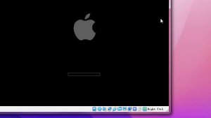 Windows XP BSOD Compilation #2