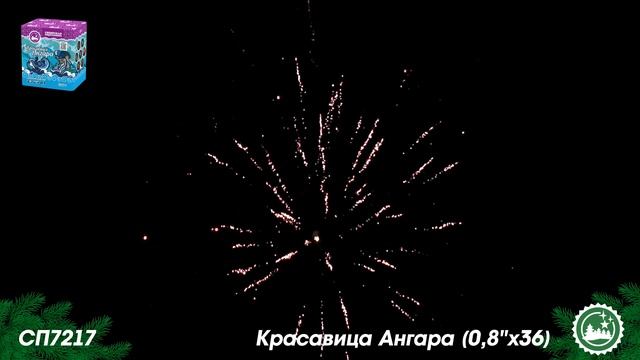 СП7217 смотреть онлайн