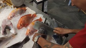 АКУЛА 🦈 и БАРРАКУДА.