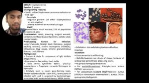 Staphylococcus aureus , disease, symptoms,