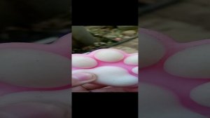 издеваюсь над таба сквишеми