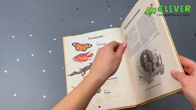 Удивительные энциклопедии. Зоология в картинках
