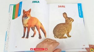 ГЛАВНАЯ КНИГА МАЛЫША. ЖИВОТНЫЕ НАШЕЙ ПЛАНЕТЫ