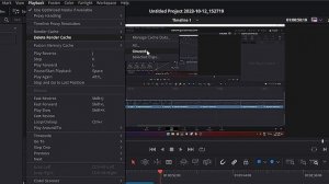 How To Delete Render Cache In Davinci Resolve 19