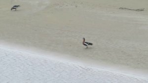 Экспедиция 2019  год. Часть 2