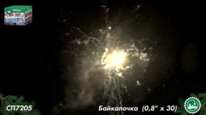 СП 7205