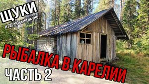 Рыбалка в Карелии. Щуки и огромный окунь.